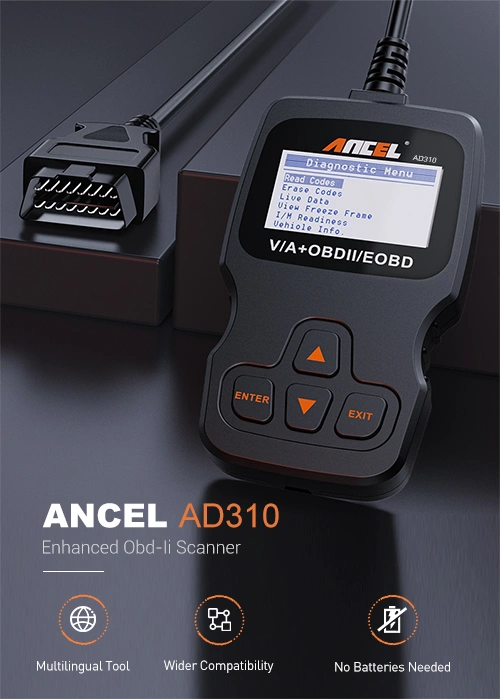 Can the Ancel AD310 Replace a Professional Diagnostic Tool?