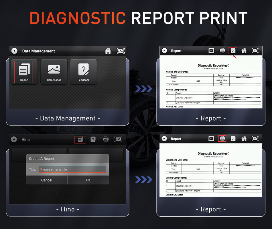 Diagnostic Report Print & Share