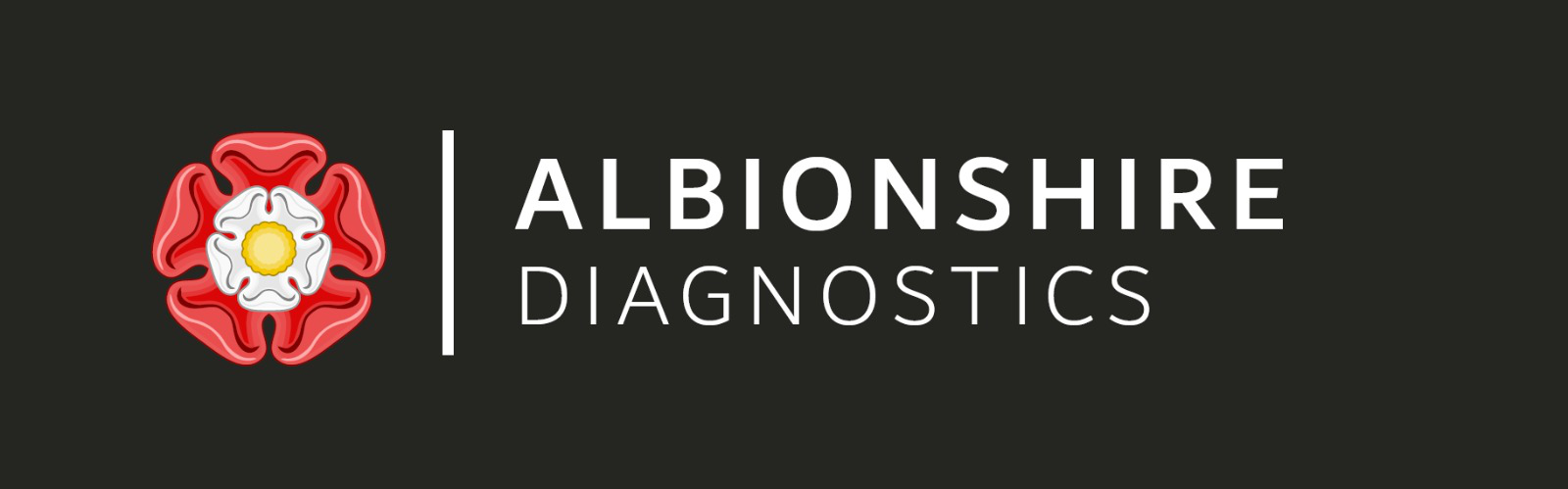 Albionshire Car Diagnostics (UK)