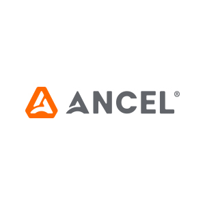 ANCEL BD300
